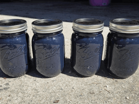 Four dark blue mason jars with metal lids sit on a concrete surface.