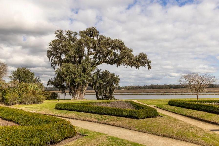 Large oak tree draped in Spanish moss overlooks a river, surrounded by manicured gardens and pathways.