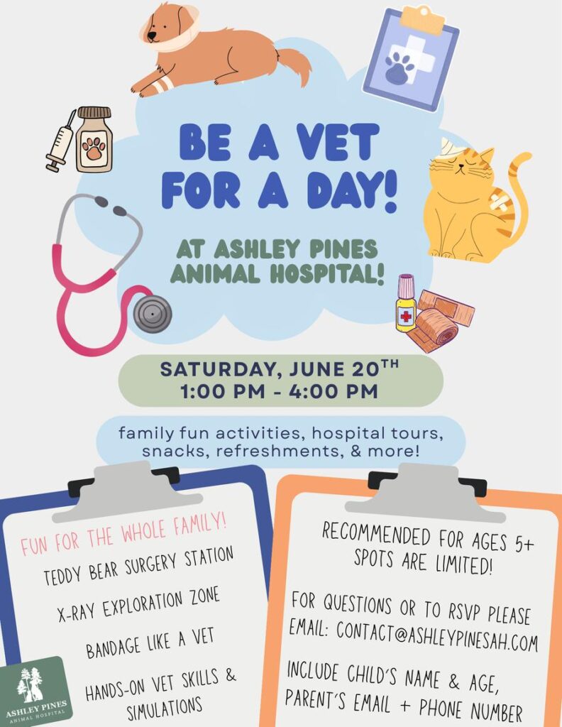 Event flyer for "Be a Vet for a Day" at Ashley Pines Animal Hospital, featuring activities and details for families.