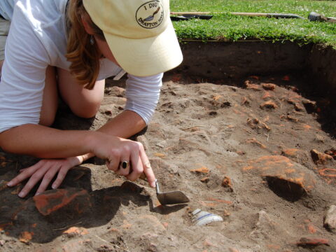 A person kneels in dirt, carefully excavating with a trowel near a shell and pottery fragments.