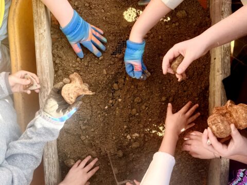 Children's hands dig in soil, holding objects, exploring a tactile learning activity.